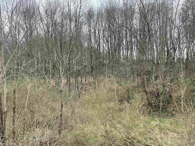 Listing photo 3 for TBD Glassworks Rd, Buckhannon WV 26201