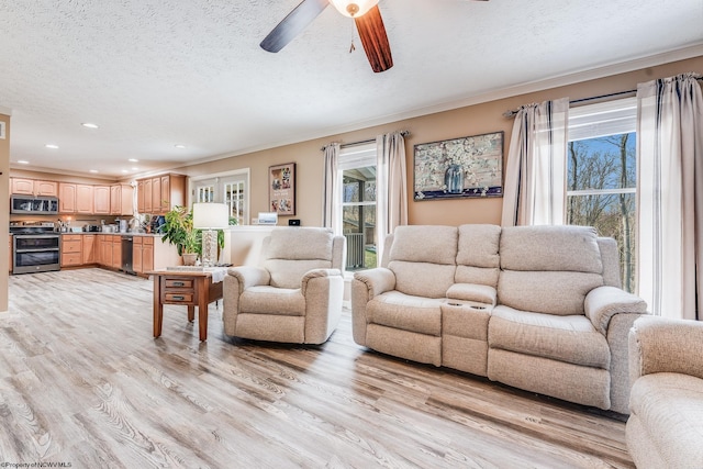 living room with light wood finished floors, ceiling fan, ornamental molding, and a textured ceiling