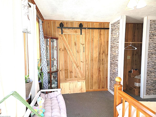 interior space with carpet, wooden walls, and a textured ceiling