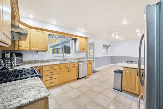 kitchen with a healthy amount of sunlight, appliances with stainless steel finishes, a sink, and light brown cabinetry