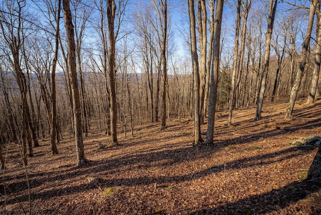 view of landscape