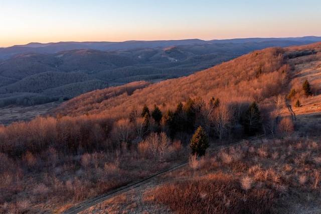 view of mountain feature featuring a view of trees