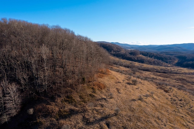 view of mountain feature