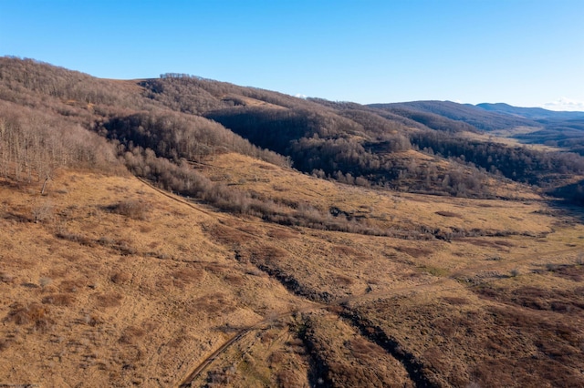 property view of mountains