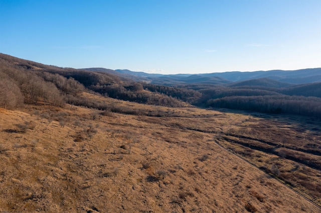 view of mountain feature