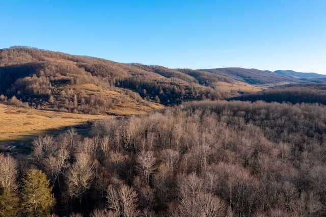 property view of mountains featuring a wooded view