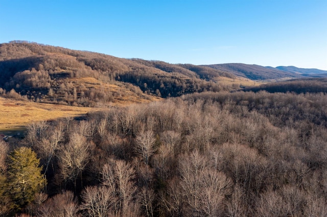 view of mountain feature featuring a wooded view