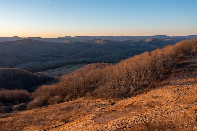 view of mountain feature