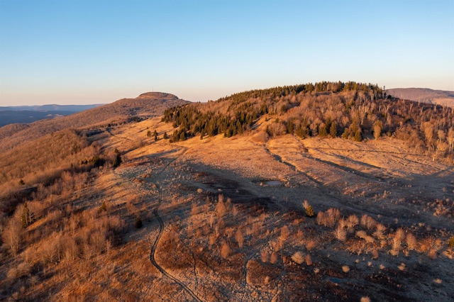 property view of mountains