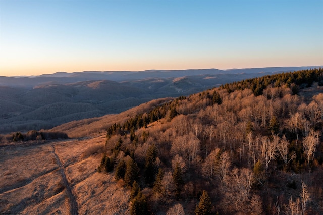 view of mountain feature featuring a wooded view