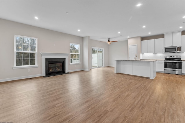 kitchen featuring light wood-style floors, appliances with stainless steel finishes, and open floor plan