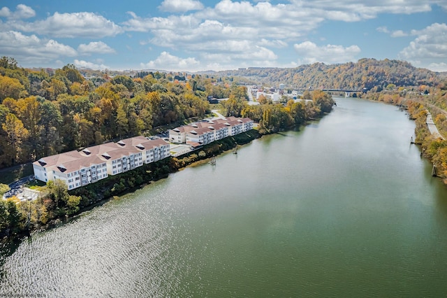 birds eye view of property featuring a water view and a forest view