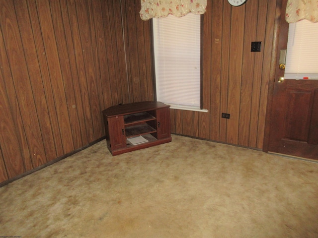 interior space with carpet flooring and wood walls