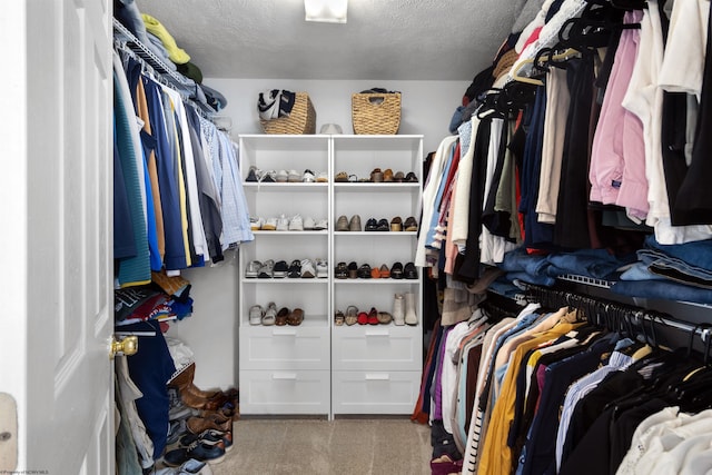 walk in closet with carpet flooring