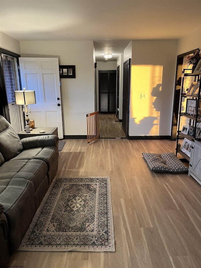 living room featuring baseboards and wood finished floors