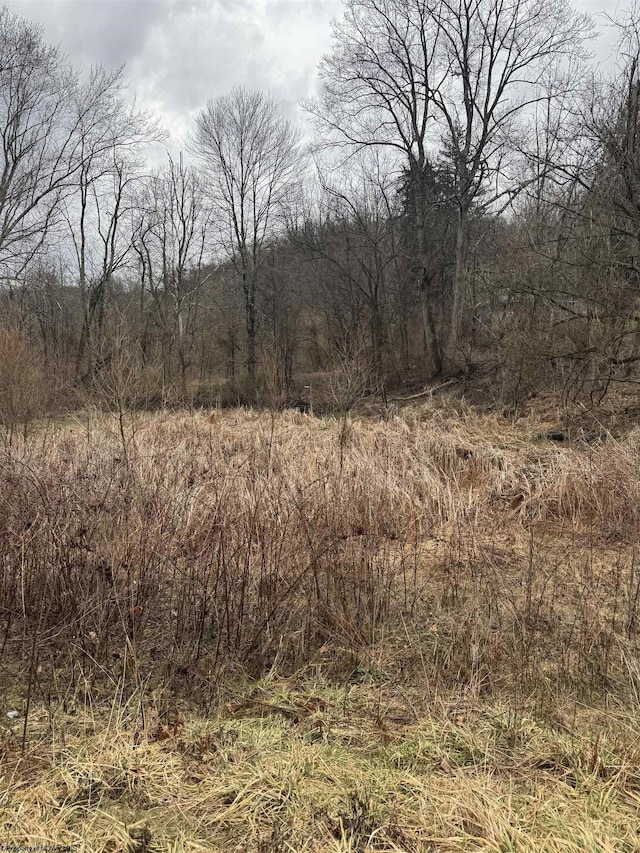 TBD Sunshine Rd, Rachel WV, 26587 land for sale