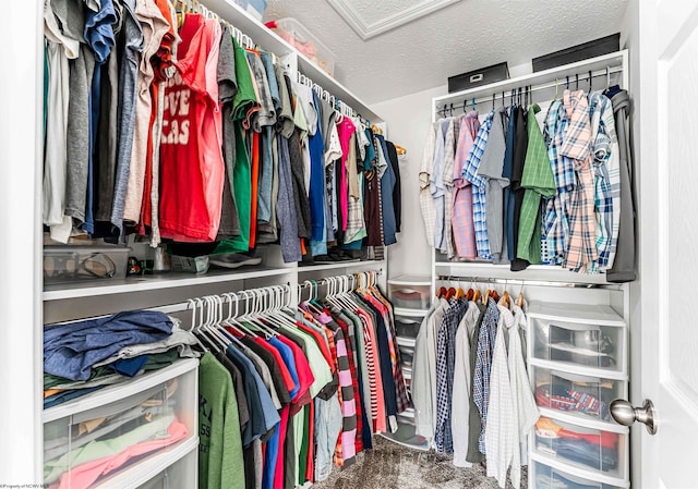 spacious closet featuring carpet and attic access