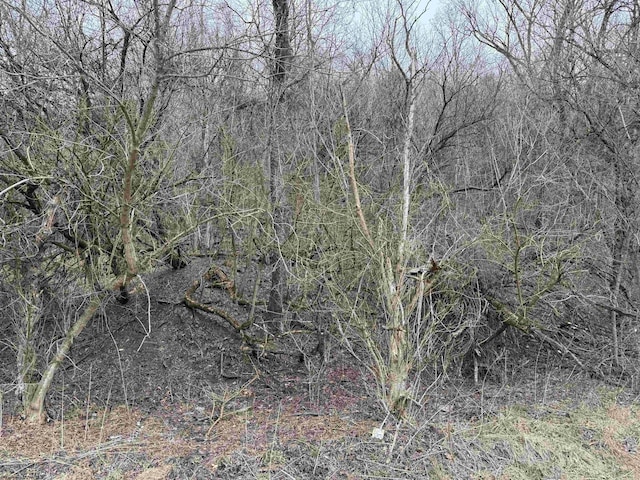 Listing photo 2 for TBD Sugar Ln, Rivesville WV 26588