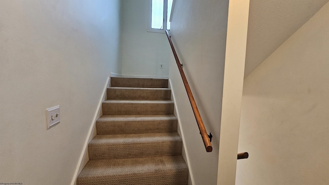 staircase featuring carpet