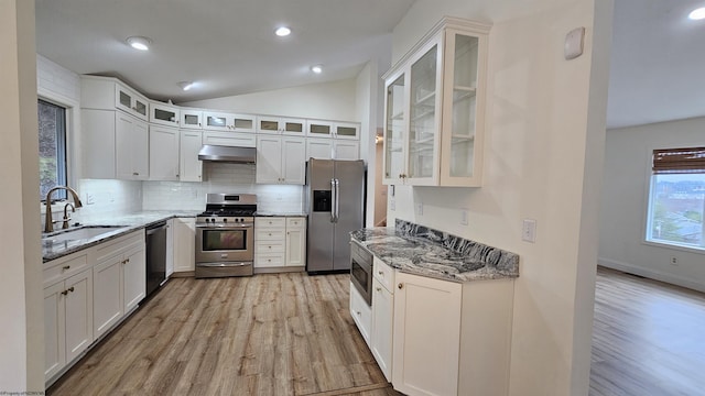 kitchen with tasteful backsplash, vaulted ceiling, stainless steel appliances, under cabinet range hood, and a sink