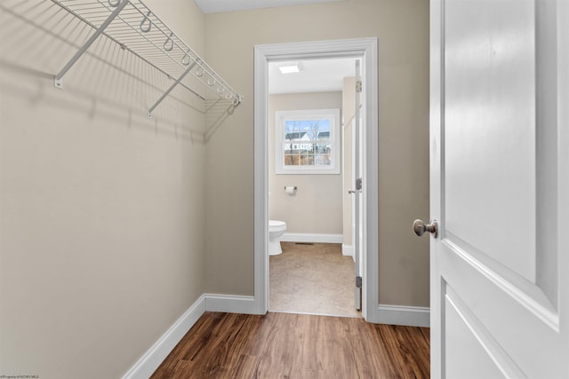 walk in closet featuring wood finished floors