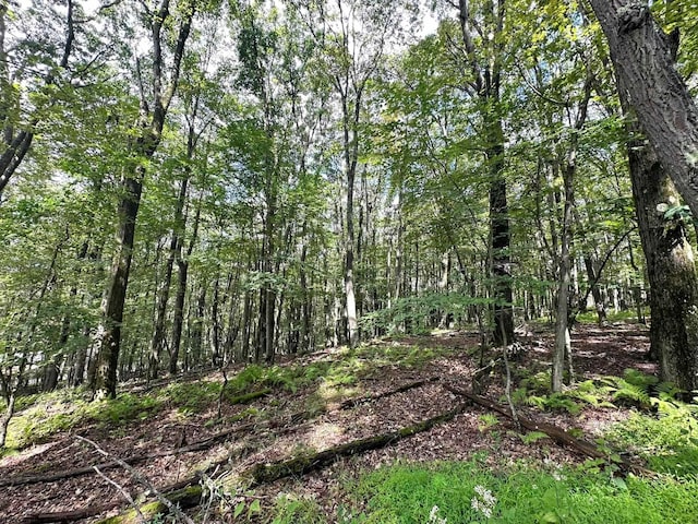 TBD Ginger Court, Terra Alta WV, 26764 land for sale