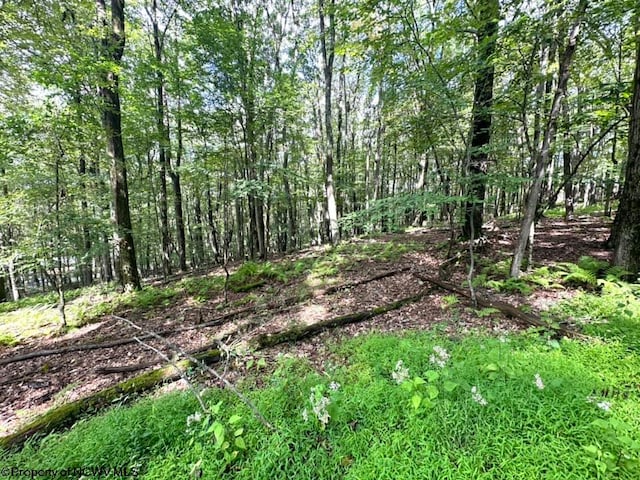 Listing photo 2 for TBD Ginger Court, Terra Alta WV 26764