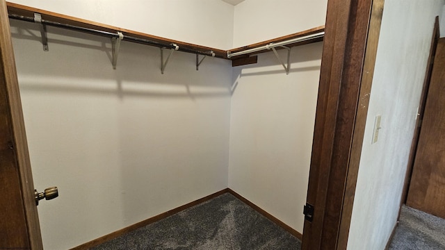 spacious closet with dark carpet