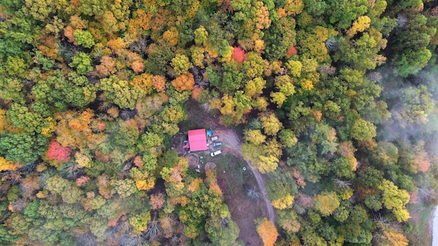 bird's eye view with a view of trees