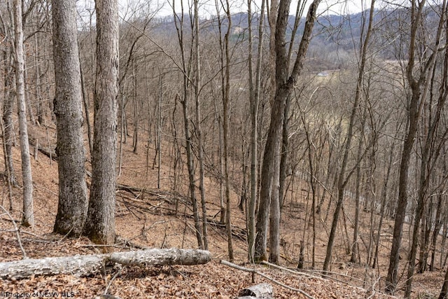 view of landscape featuring a forest view