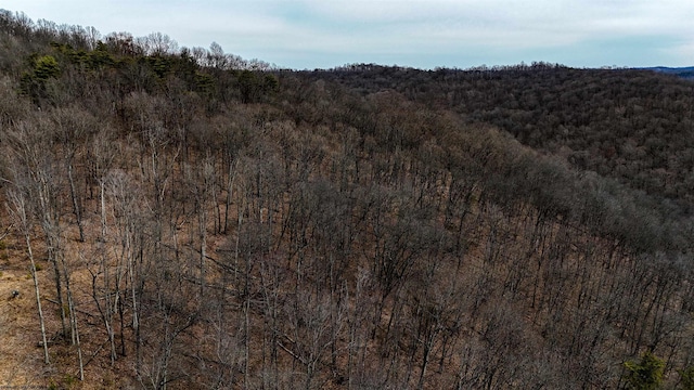 view of nature with a wooded view