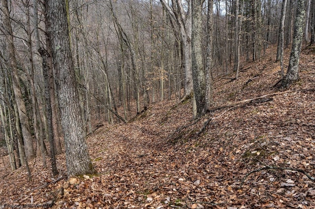 view of landscape featuring a view of trees