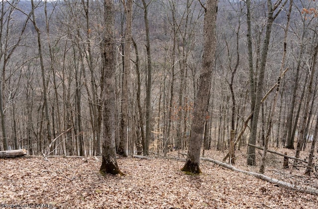 view of nature featuring a forest view