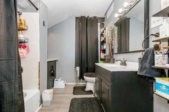 bathroom with vanity, wood finished floors, and toilet