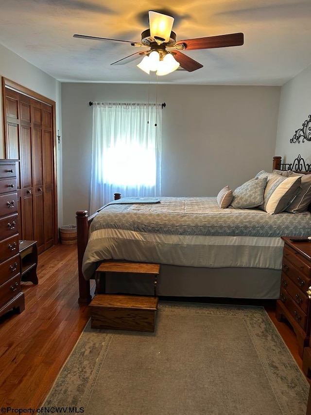 bedroom featuring ceiling fan and dark wood-type flooring