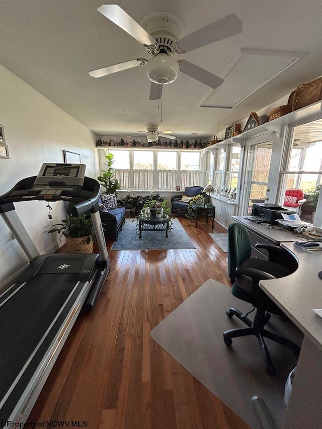 office area with a ceiling fan, wood-type flooring, and plenty of natural light