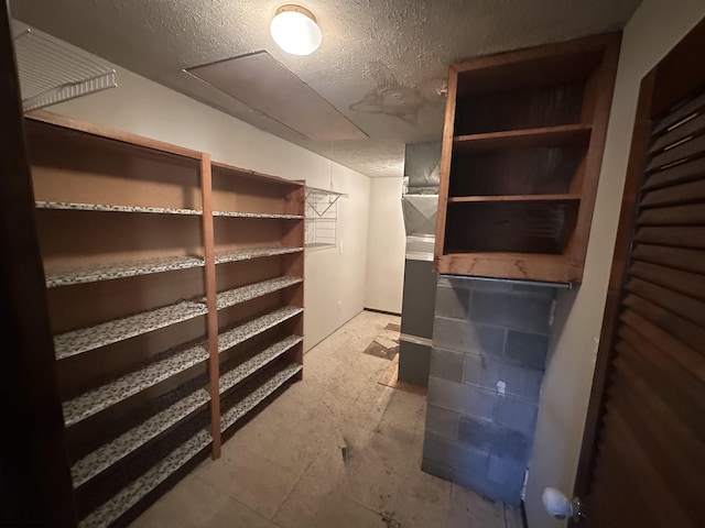 storage area featuring attic access