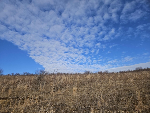 view of local wilderness