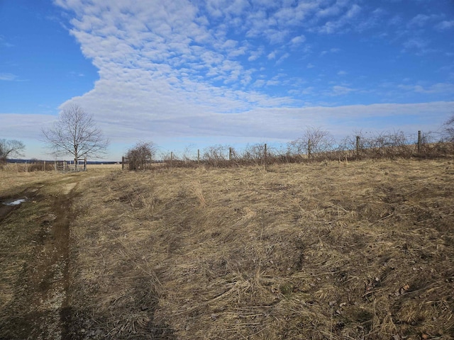 view of local wilderness featuring a rural view