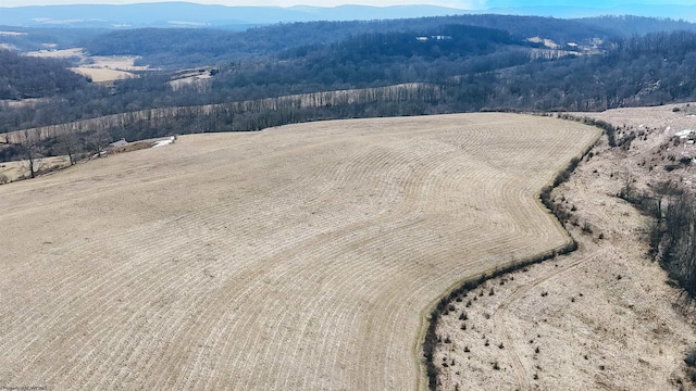 birds eye view of property with a wooded view and a mountain view