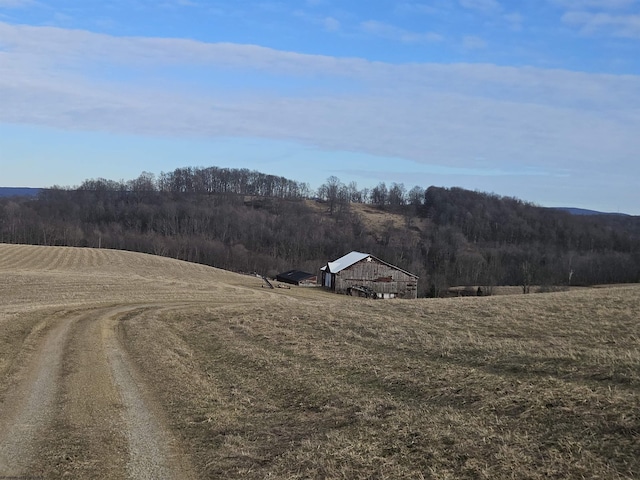 view of road with a wooded view and a rural view