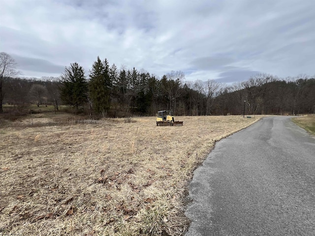 Listing photo 3 for LOT41 Hayfield Loop, Elkins WV 26241