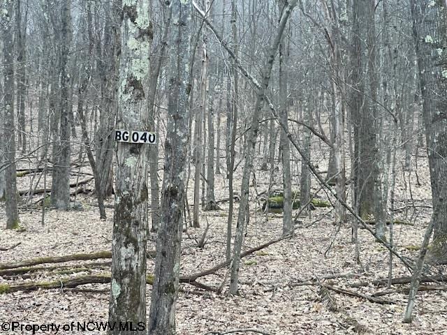 LOT40 Bobolink Dr, Terra Alta WV, 26764 land for sale