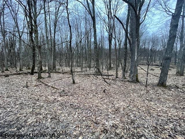 Listing photo 2 for LOT40 Bobolink Dr, Terra Alta WV 26764