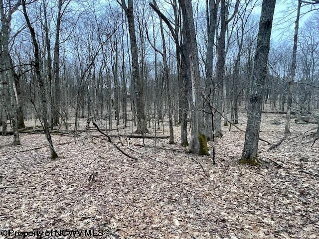 Listing photo 3 for LOT40 Bobolink Dr, Terra Alta WV 26764