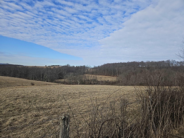 Listing photo 2 for TBD Homestead Ln, Bruceton Mills WV 26525