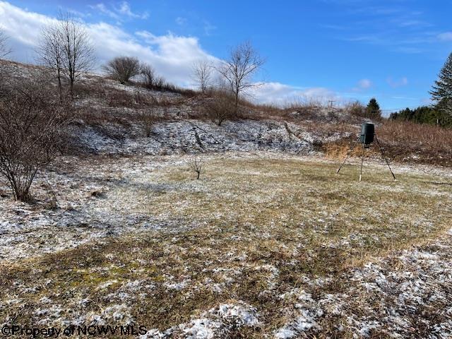 Listing photo 3 for TBD Montgomery Ln, Masontown WV 26542