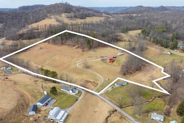 aerial view with a rural view and a view of trees