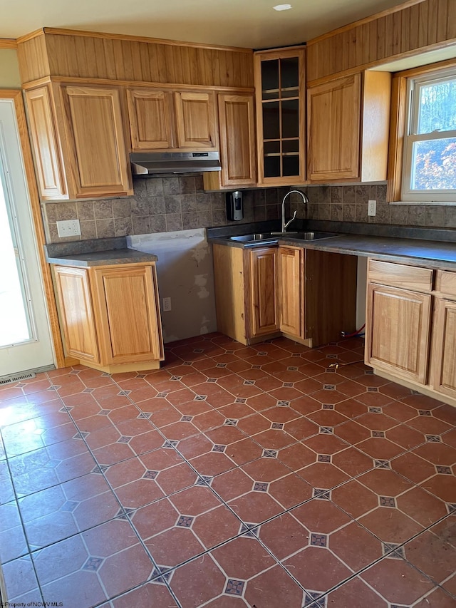 kitchen featuring visible vents, under cabinet range hood, a sink, tasteful backsplash, and dark countertops