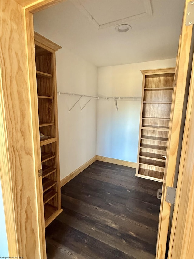 walk in closet with dark wood finished floors